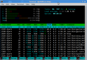 HTOP output